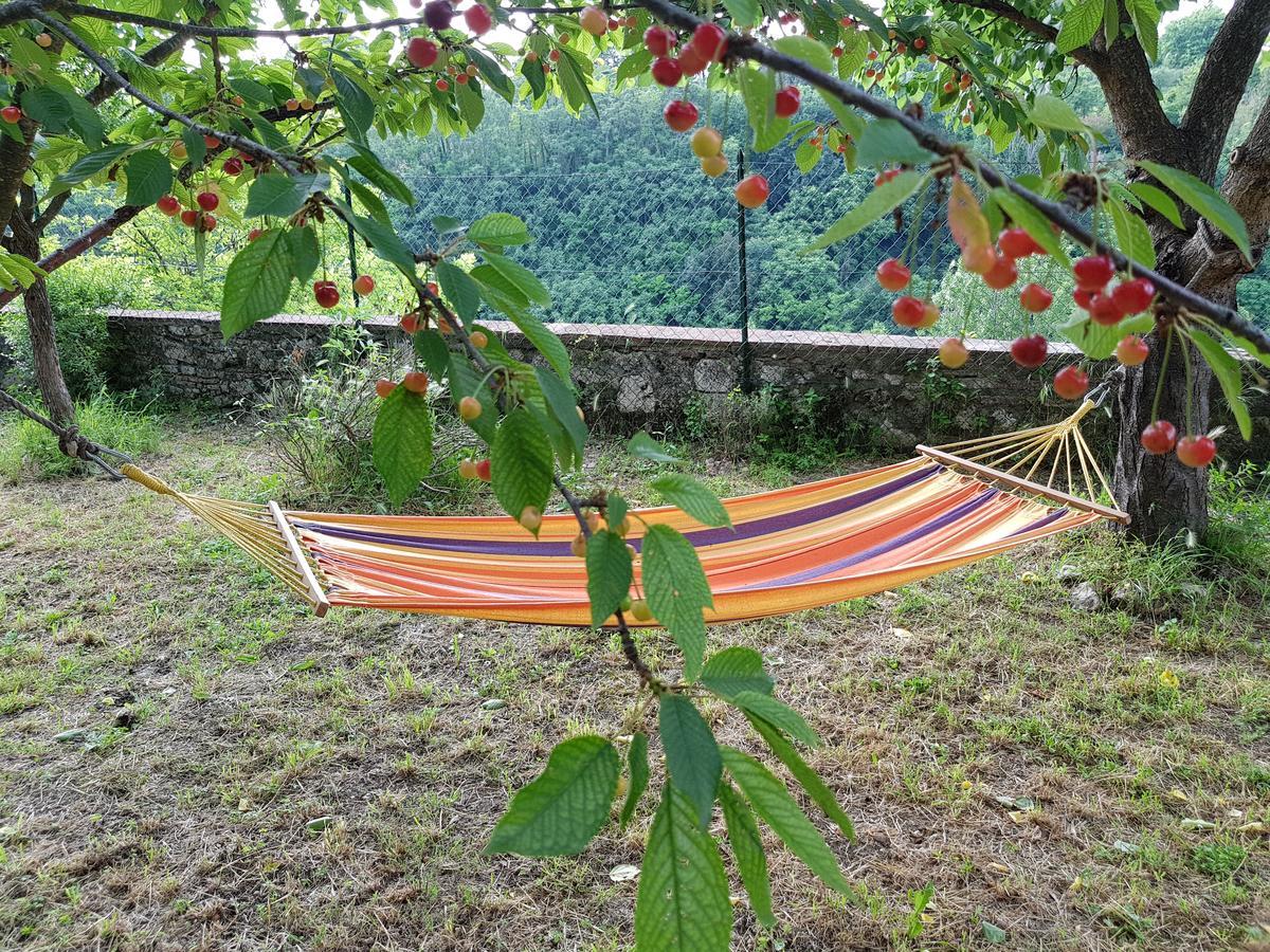 Guest House Il Giardino Коле Вал д'Елза Екстериор снимка